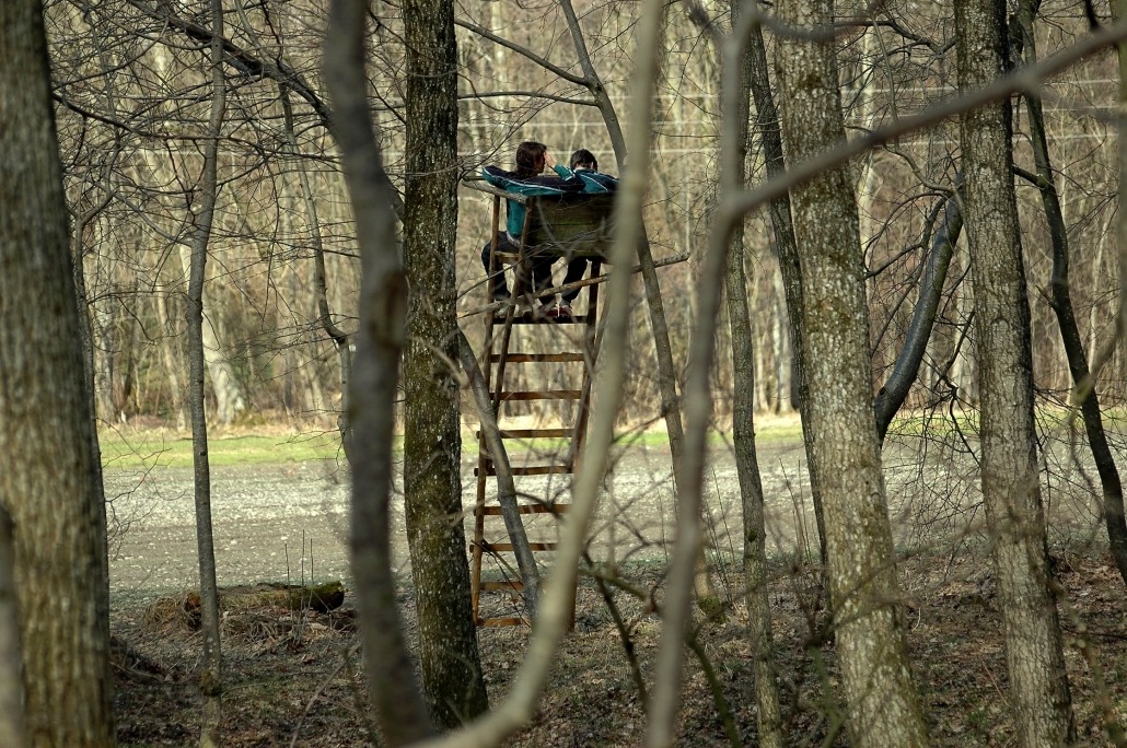 Geschichten aus der Welt der Jagd