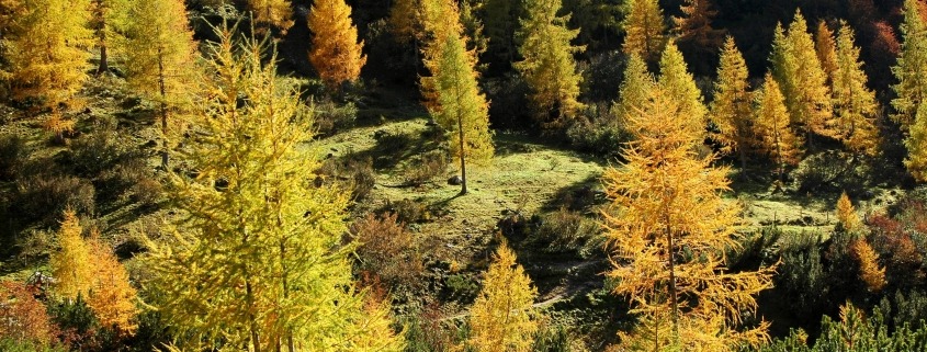 Herbstleuchten