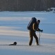 Blogbeitrag Wintersportler mit Schneeschuhe zu Fütterung