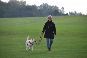 Spaziergeher mit Hund