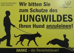 Hunde an die Leine