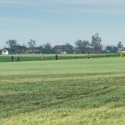 Feld bei der Treibjagd