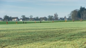 Feld bei der Treibjagd