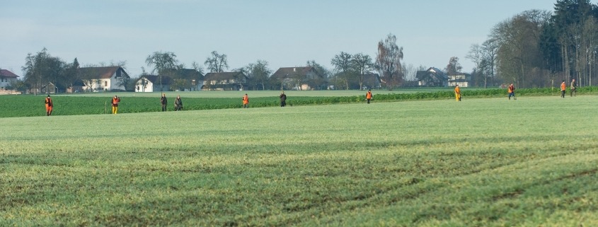 Feld bei der Treibjagd