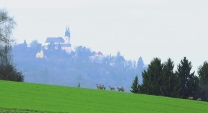 Rehsprung Pöstlingberg_L.Schmid