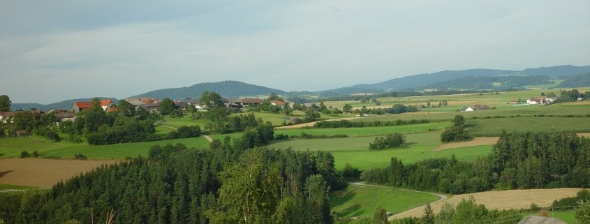 Frühjahrsputz im Jagdgebiet