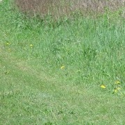 Feldweg_Nachhaltige Jagd_Ch.Böck