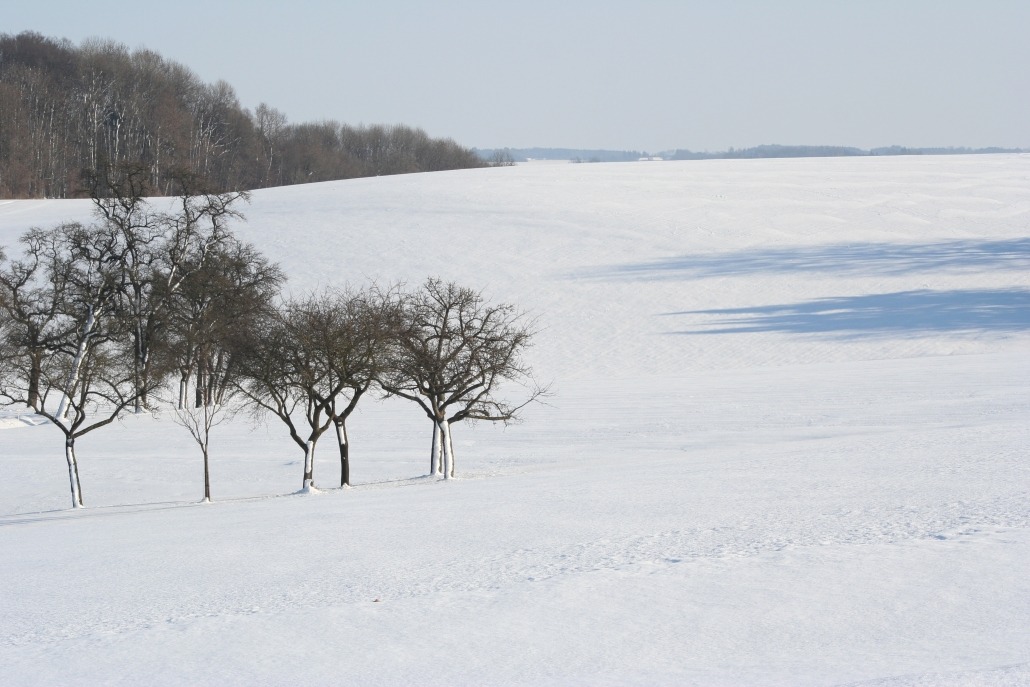 Winterlandschaft mit Bäumen