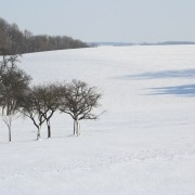 Winterlandschaft mit Bäumen